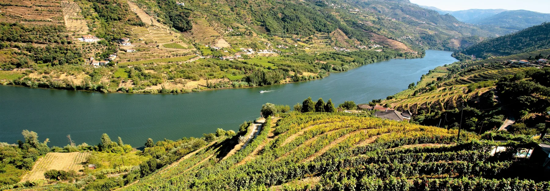Douro vallei