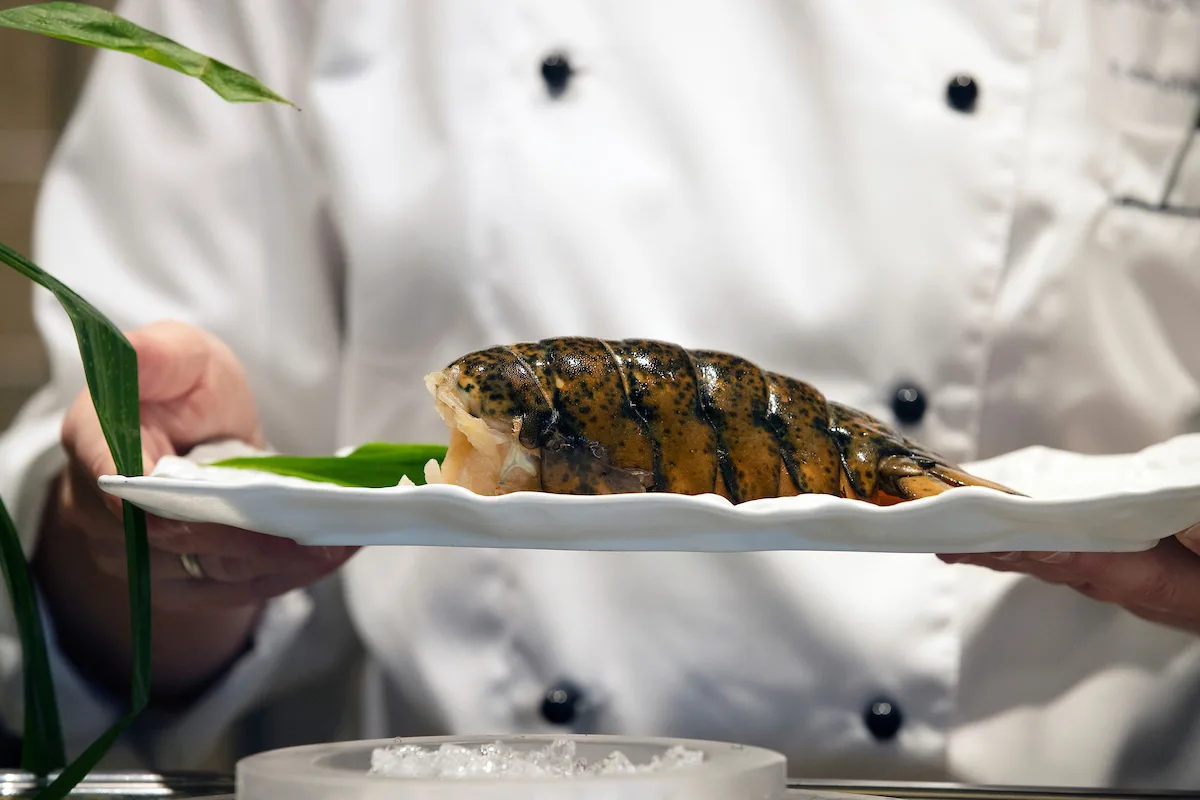 S.A.L.T. Research Trip