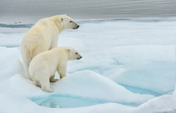 seabourn-expedities-svalbard-002