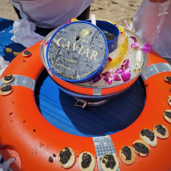 SeaDream caviar splash 003