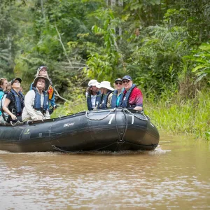 Zodiac cruise, in the jungle, Boca dos Botos, Brazil, Amazon