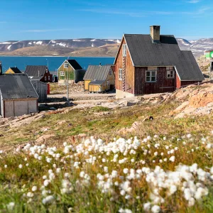 seabourn venture expeditions groenland