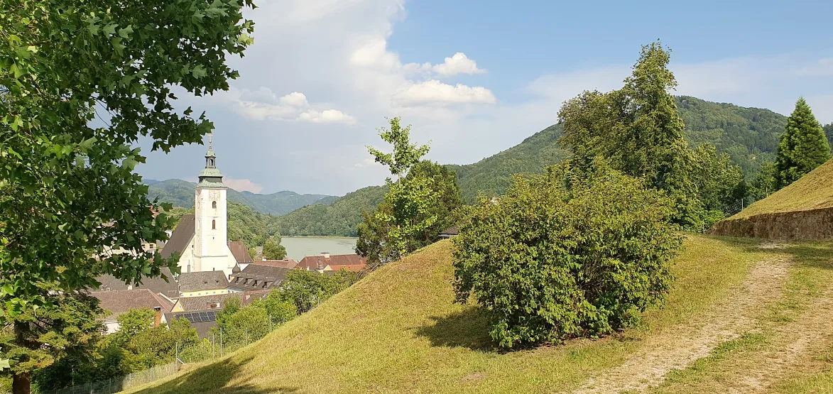 ama-donau-fjvd-amasonata-grein-005