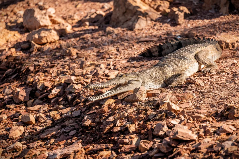 Tourism Australia_ftb_Kimberley_001