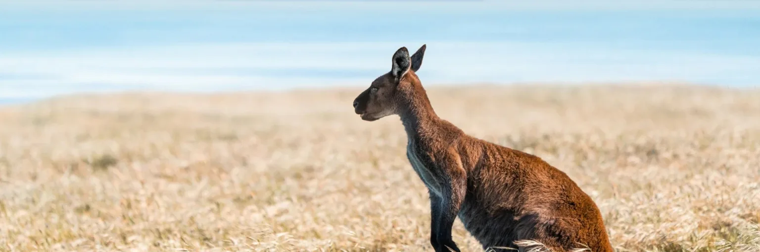 australie_ftb_general_001