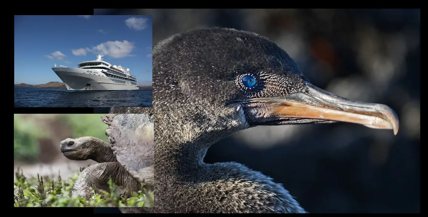 silversea_cruises_expedition_fr_galapagos_hero