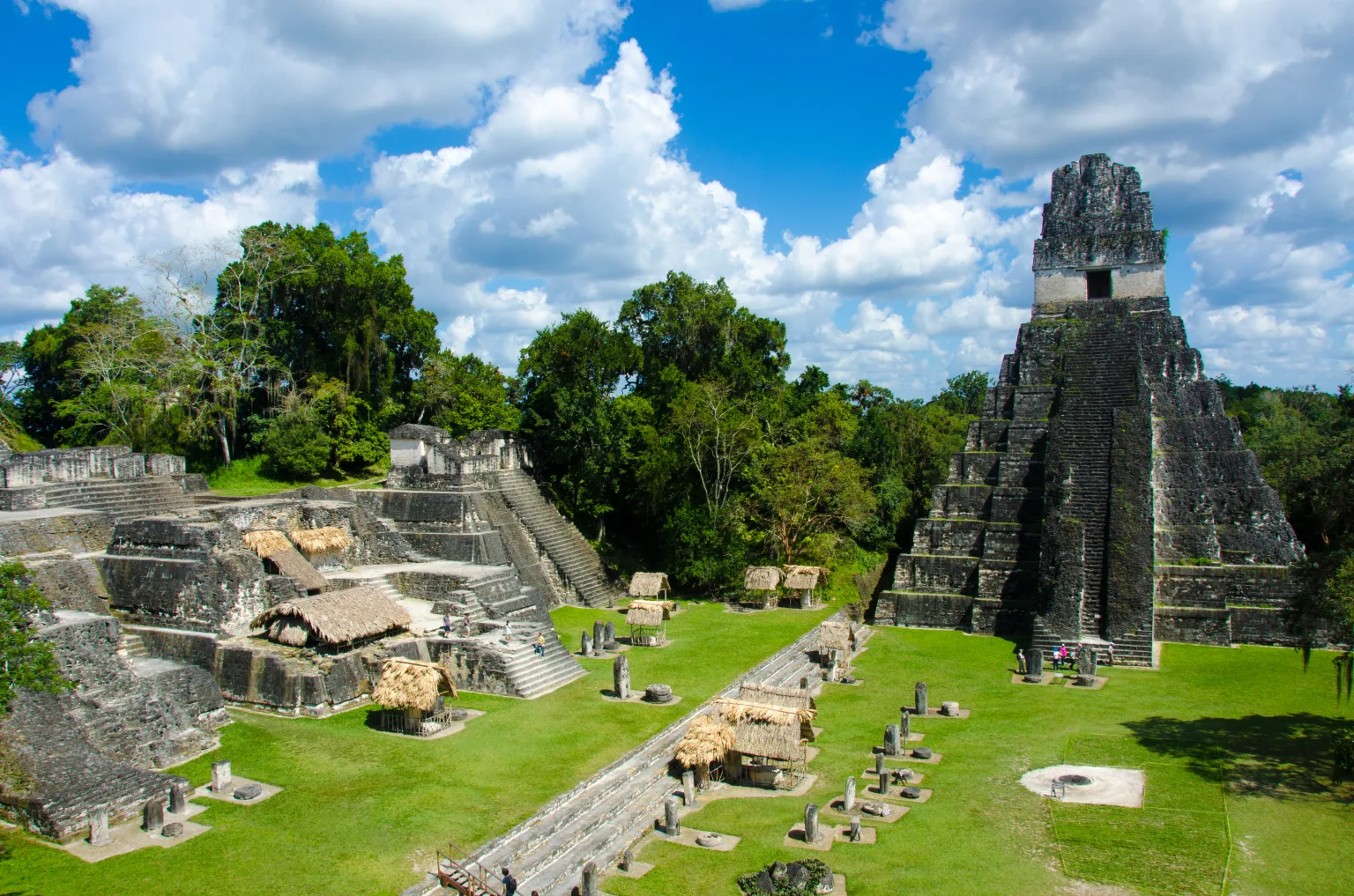Tikal,-,Maya,Ruins,In,The,Rainforest,Of,Guatemala