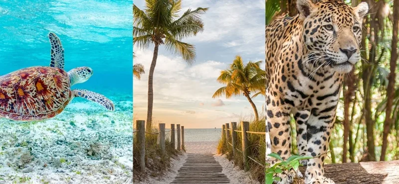 regent miami miami 11dec24 pict