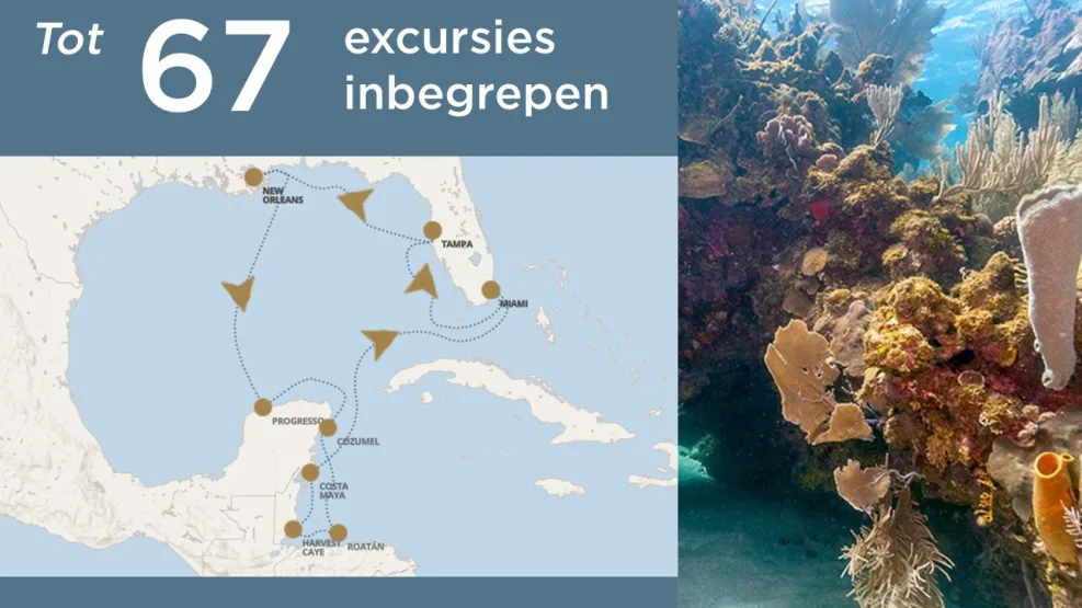 regent miami miami 21feb25