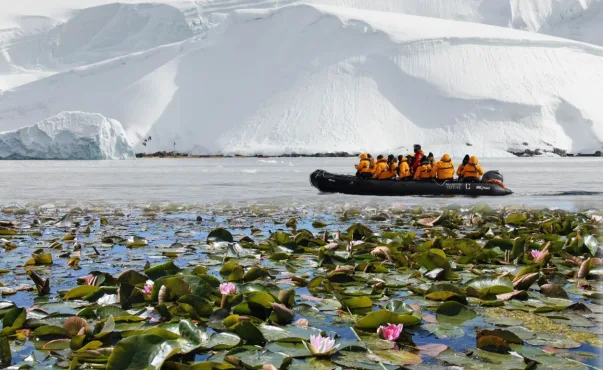seabourn leie expedition 007