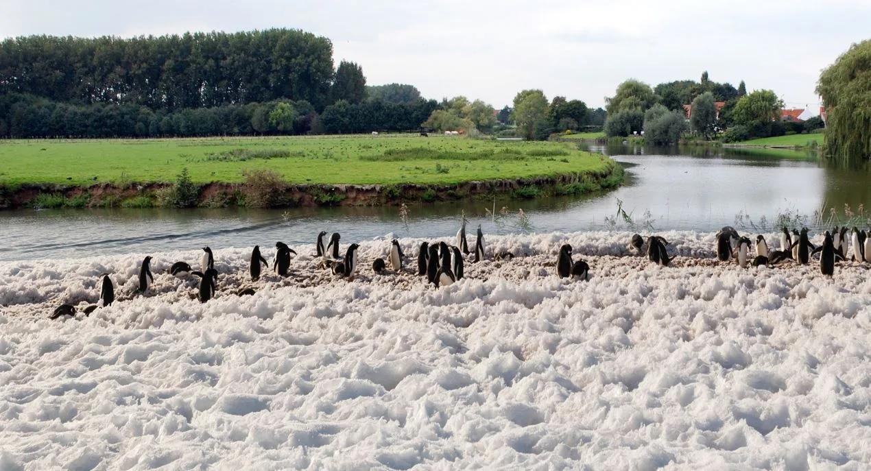 seabourn leie expedition 009