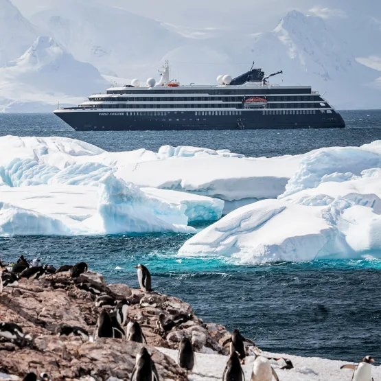 AOV_WNA_Exterior_Antarctica_00018