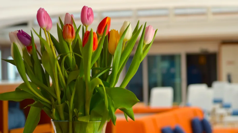 H_HANSEATICspirit_adapt003