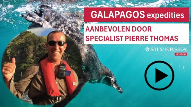 pt galapagos 2026 vd