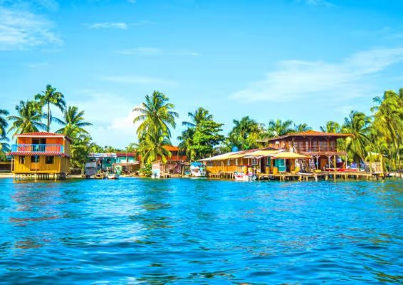 OCEANIA black friday 2025 pic002