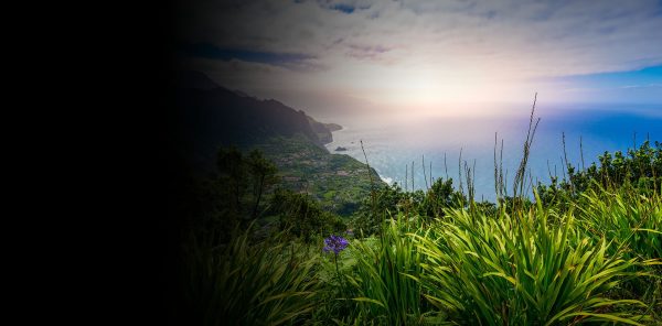 regent seven seas black friday 2025 PIC002