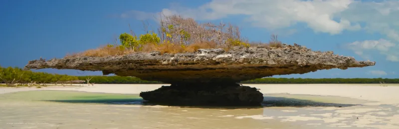 Aqua Expeditions Aldabra