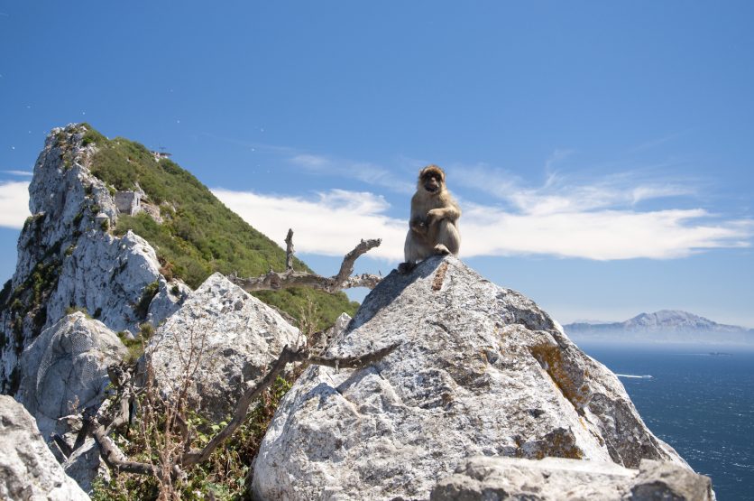 sea cloud fr gibraltar