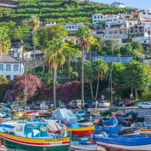 06-Madeira018-2048x1367