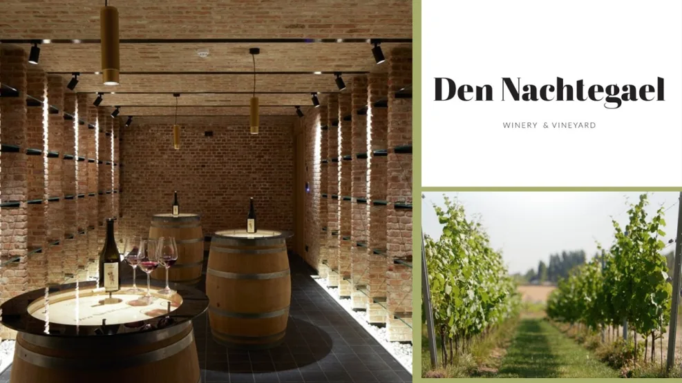 EXPLORA april events den nachtegael hero