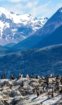 Regent ssc wereldcruise 2029 ushuaia