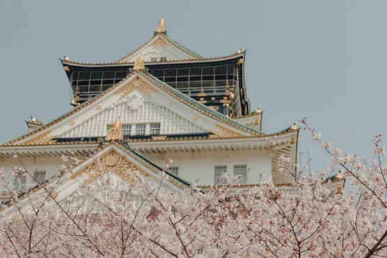 explora journeys dest006