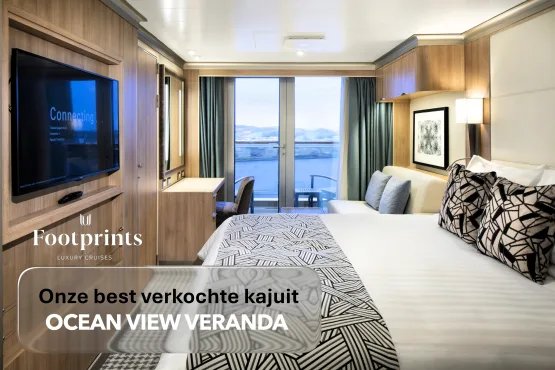 HAL Rotterdam Ocean View Veranda